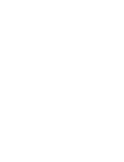 Lider Brinquedos